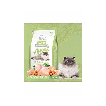 Brit Care Cat Angel I´m Delighted Senior 7kg