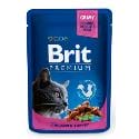 Brit Premium Cat vrecko with Chicken & Turkey 100g