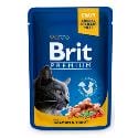 Brit Premium Cat vrecko with Salmon & Trout 100g