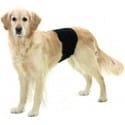 Nohavice pre psov proti značkovanie 40x10cm 1ks KAR new