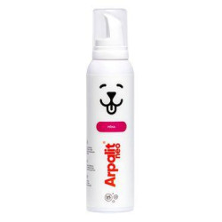 Arpalit Neo pena 150ml