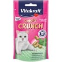 Vitakraft Cat pochúťka Crispy Crunch dental 60g