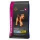 Eukanuba Dog Adult Large 3kg