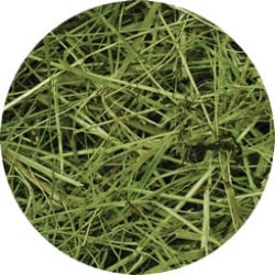Seno  luční Maxi RabbitWeed 2kg 100 l