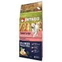 ONTARIO Dog Senior Large Chicken&Potatoes&Herbs 12kg