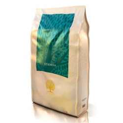 Essential Stamina Small Breed 3kg