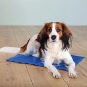 Podložka chladiaci pre zvieratá 90 x 50cm MODRÁ TR