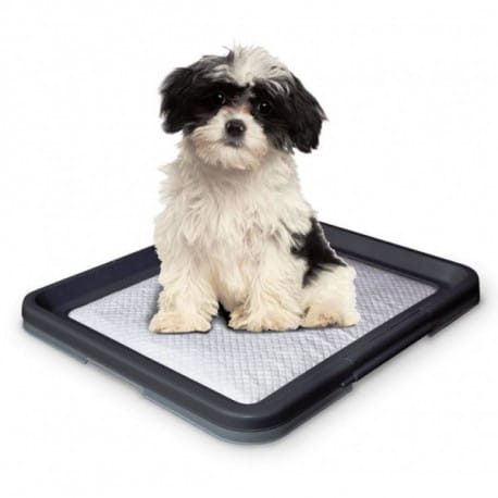 Nobby Doggy Trainer Small psie toalety 48 x 41 x 3,5 cm