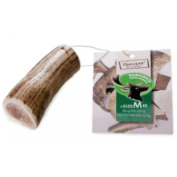 Paroží dančí Chewies Geweih - Snack - M