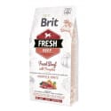 Brit Dog Fresh Beef & Pumpkin Puppy Large 2,5kg