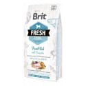 Brit Dog Fresh Fish & Pumpkin Adult Large 2,5kg