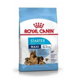 Royal Canin Maxi Starter Mother&Babydog granule pre gravidné alebo dojčiace suky a šteňatá 15kg
