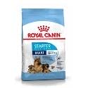 Royal Canin Maxi Starter Mother & Babydog granule pre gravidné alebo dojčiace feny a šteňatá 15kg