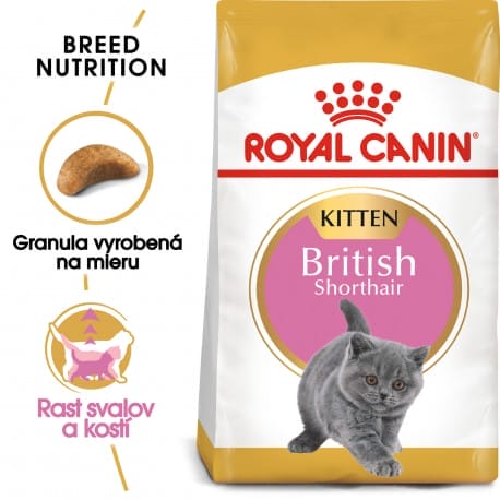 Royal canin Breed Kitten Feline British Shorthair 10kg