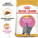 Royal Canin British Shorthair Kitten granule pre britská krátkosrstá mačiatka 10kg