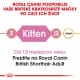 Royal canin Breed Kitten Feline British Shorthair 10kg