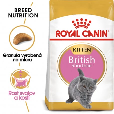 Royal canin Breed Kitten Feline British Shorthair 2kg