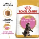 Royal Canin Royal Canin Maine Coon granule pre mainská mývalia mačiatka 10kg