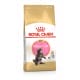 Royal canin Breed Feline Kitten Maine Coon 10kg