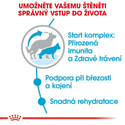Royal canin Maxi Starter 15kg