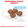 Royal canin Mini Starter 3kg