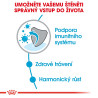 Royal canin Mini Junior 4kg