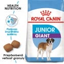 Royal Canin Giant Junior granule pre obrie šteňatá 15kg