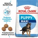 Royal Canin Maxi Puppy granule pre veľké šteňatá 1kg