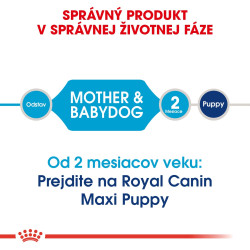 Royal canin Maxi Starter 15kg