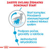 Royal canin Medium Starter 12kg