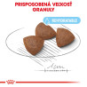 Royal canin Medium Starter 12kg