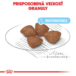 Royal canin Mini Starter 8,5kg