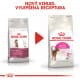 Royal canin Feline Exigent Aromatic 10kg