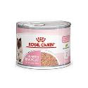 Royal Canin Babycat Instinctive Can konzerva pre dojčiace mačky a mačiatka 195g