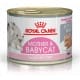 Royal canin Feline Babycat konz. 195g