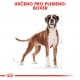 Royal canin Breed Boxer 12kg