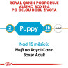 Royal canin Breed Boxer Junior 12kg