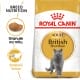 Royal canin Breed Feline British Shorthair 10kg