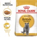 Royal Canin British Shorthair Adult granule pre britské krátkosrsté mačky 10kg