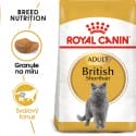 Royal Canin British Shorthair Adult granule pre britské krátkosrsté mačky 2kg