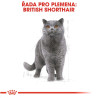 Royal canin Breed Feline British Shorthair 400g