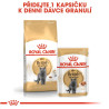 Royal canin Breed Feline British Shorthair 400g
