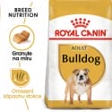 Royal Canin French Bulldog Adult granule pre dospelého francúzskeho buldočka 1,5kg