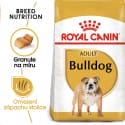 Royal Canin Bulldog Adult granule pre dospelého buldoga 3kg