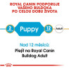Royal canin Breed Buldog Junior 12kg
