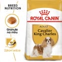 Royal Canin Cavalier King Charles Adult granule pre dospelého Cavalier King Charles španiel 500g