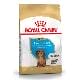 Royal canin Breed Jazvečík Junior 1,5kg