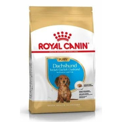 Royal canin Breed Jazvečík Junior 1,5kg