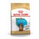 Royal canin Breed Jazvečík Junior 1,5kg