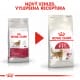 Royal canin Feline Fit 4kg